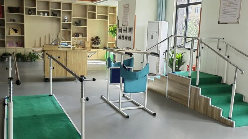 成都医养结合：失能老人护理的多元选择与科学评估